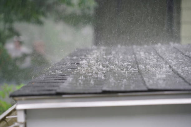 Best Skylight Installation and Repair  in Farmington, IL