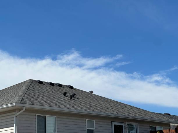Best Rubber Roofing (EPDM, TPO)  in Farmington, IL